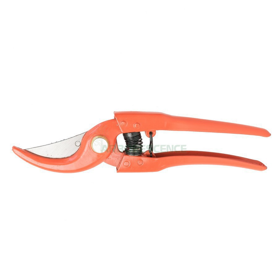 SÉCATEUR ORANGE SE 831