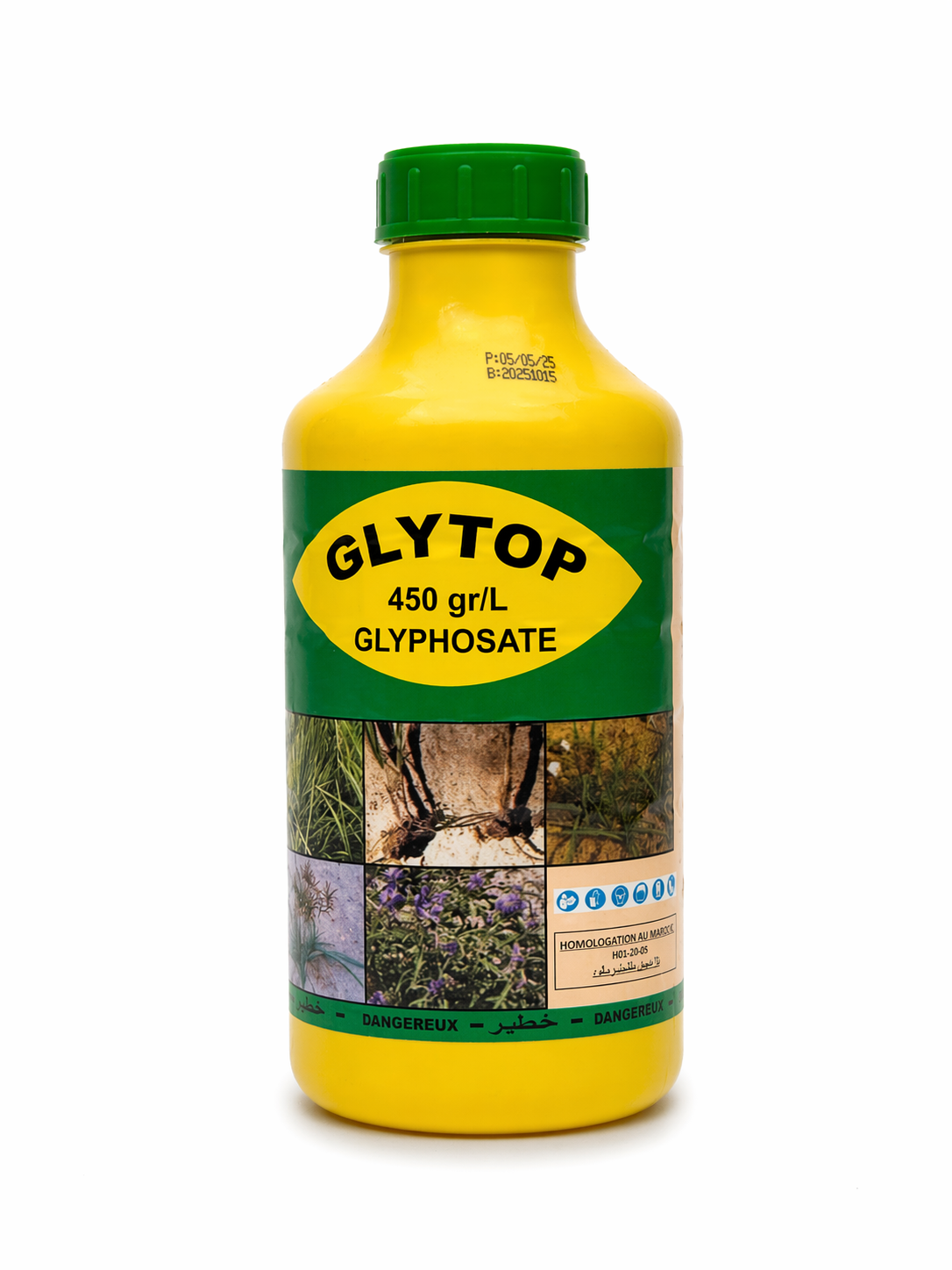 GLYTOP
