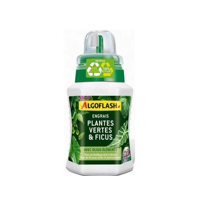 ENGRAIS PLANTE VERTE ET FICUS 250ML MJ