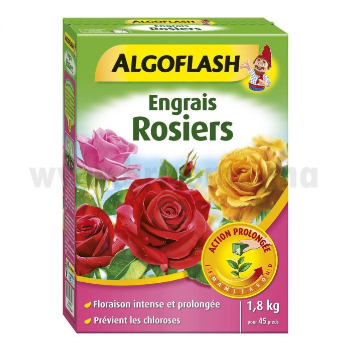 ENGRAIS SOLUBLE ROSIERS AP1KG MJ