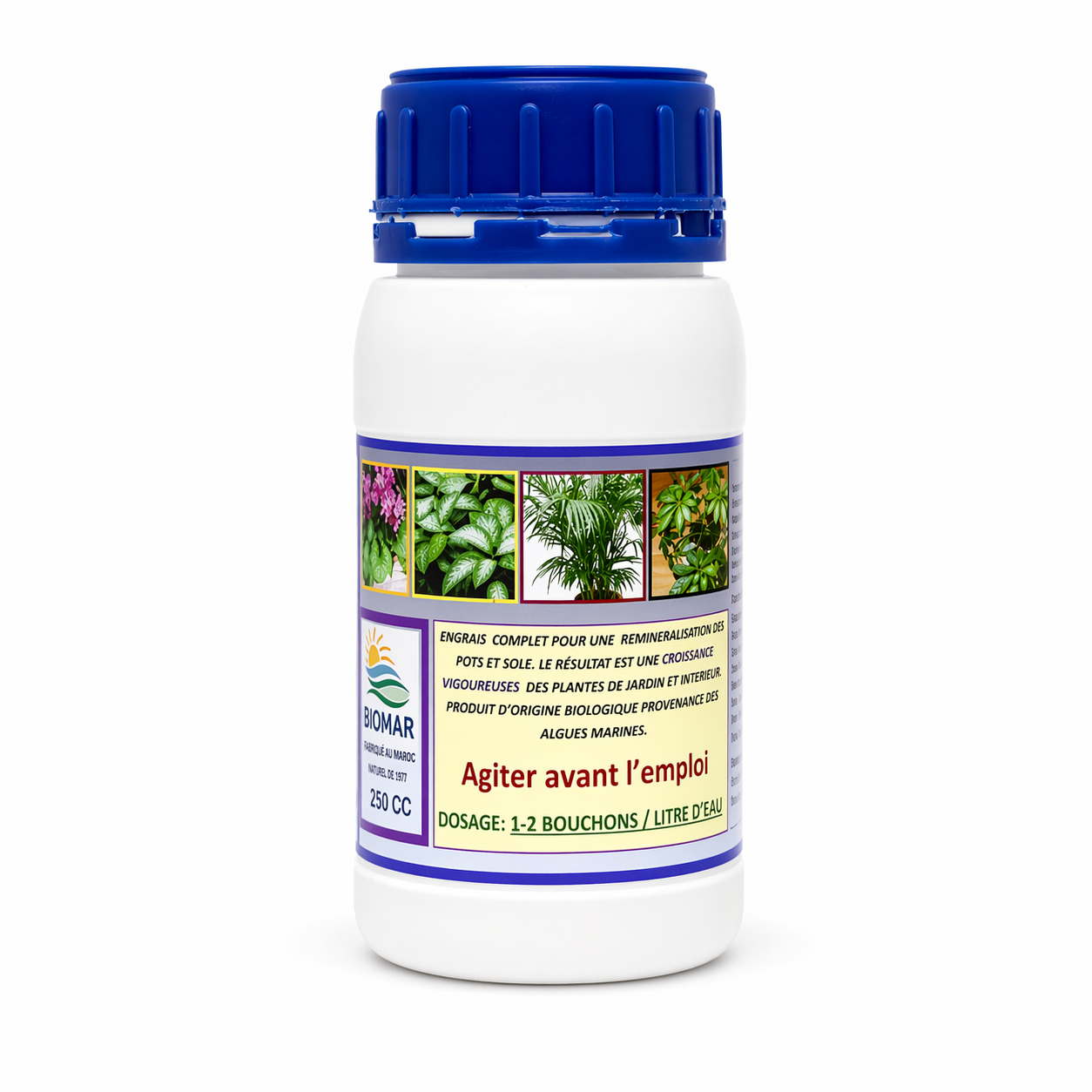 BIO MAR 250CC