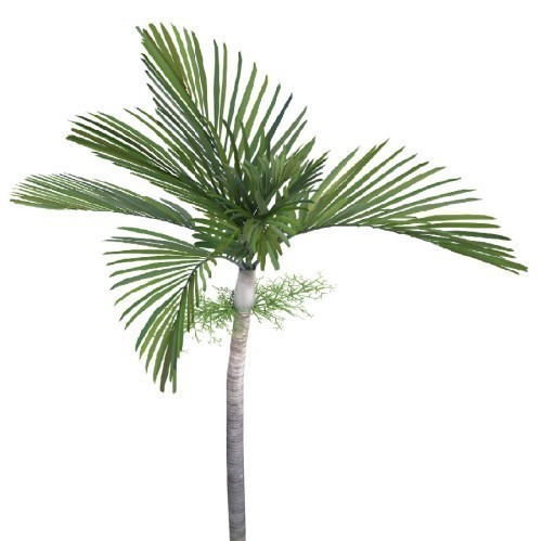 Variant 4
