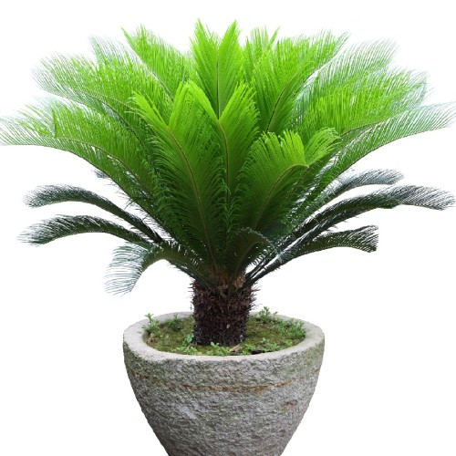 Variant 3