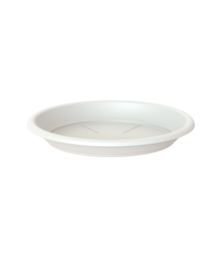 Variant 41
