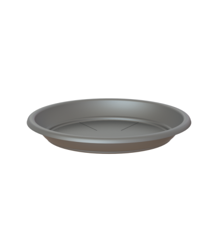 Variant 39