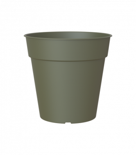 Variant 4