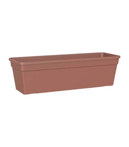 MADAGASCAR PLANT BOX