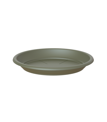 Variant 183