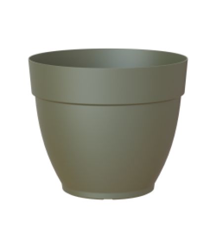 Variant 40