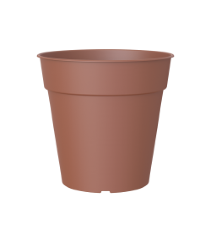 Variant 46