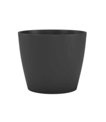 Variant 21