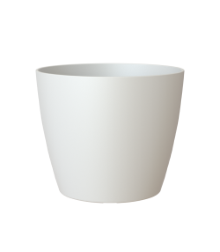 Variant 132