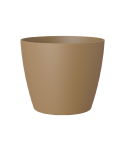 Variant 11