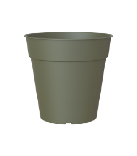 Variant 8