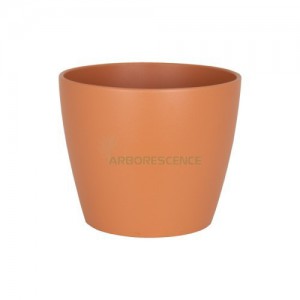 NUBIA POT