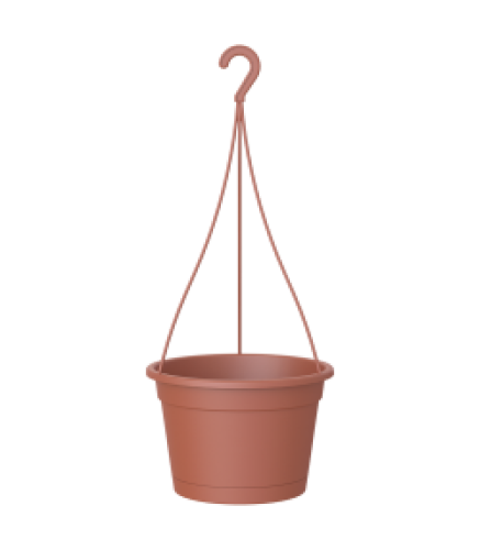MADAGASCAR HANGING BASKET