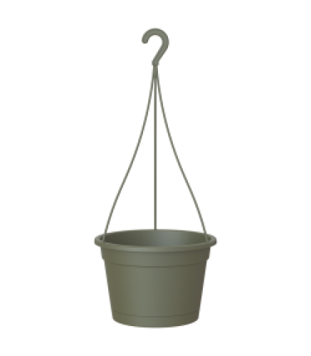 MADAGASCAR HANGING BASKET