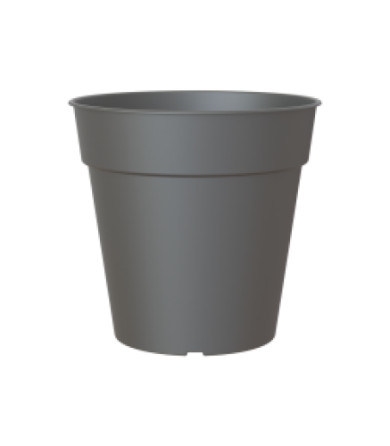 Variant 45
