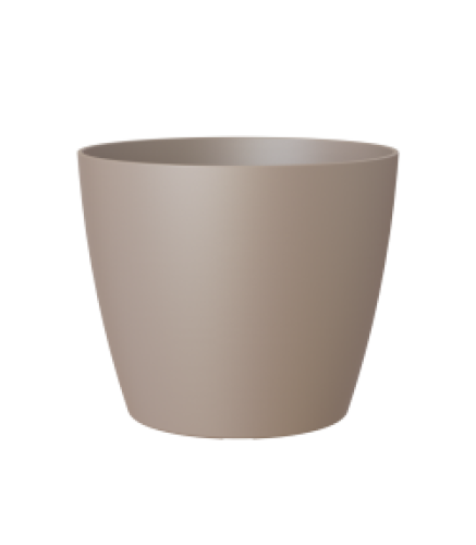 Variant 29