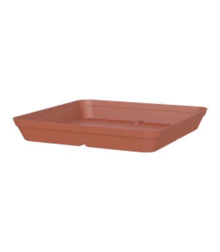 Variant 20