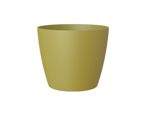 Variant 171