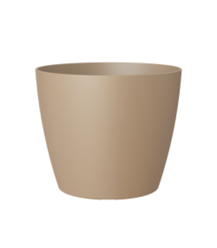 Variant 60