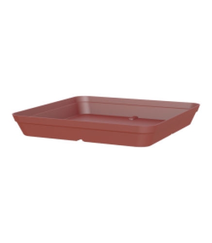 Variant 11