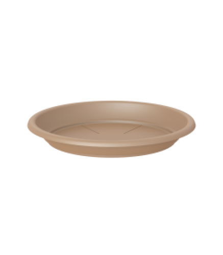 Variant 111