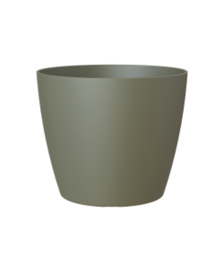 Variant 85