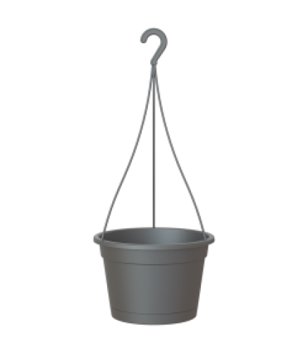 MADAGASCAR HANGING BASKET