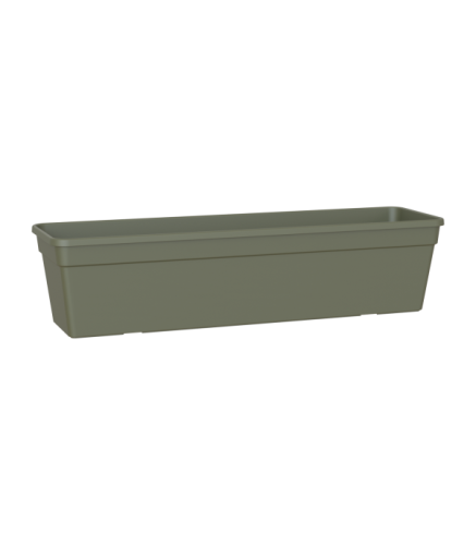 Variant 12