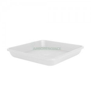 VENEZA SQUARE SAUCER