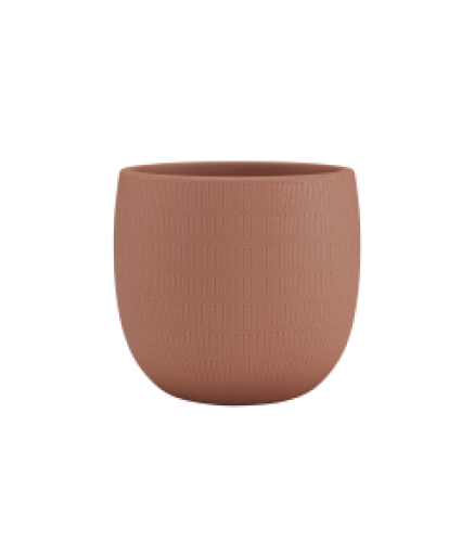 AURA POT