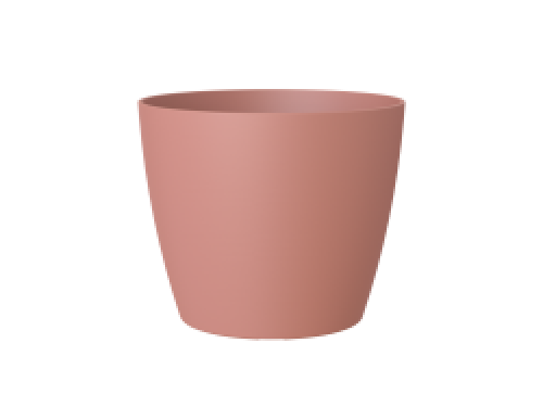 Variant 13