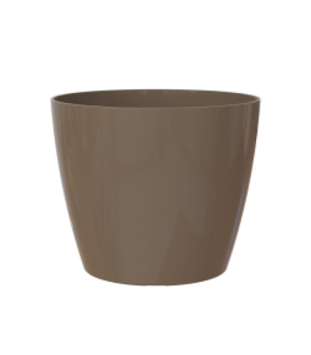 Variant 169