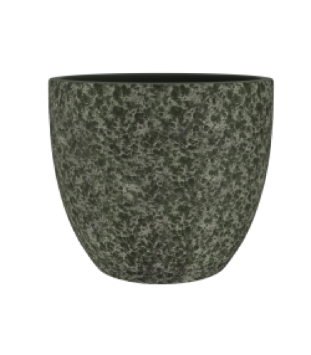 Variant 22
