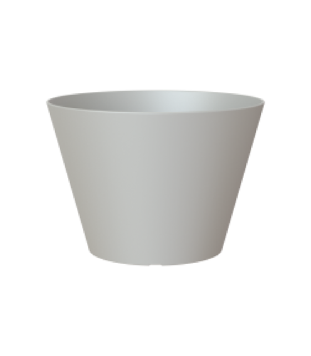 PORTO BOWL