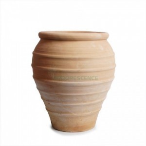 POT ZITOUNA
