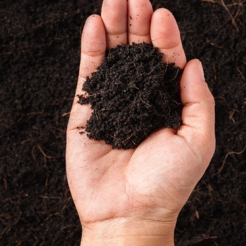 COMPOST 50 KG