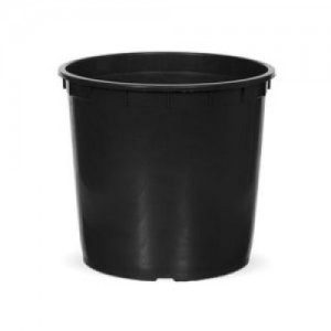 INSERT CACHE-POT