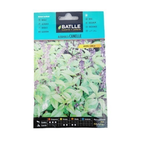 GRAINES BATLLE ALBAHACA CANNELLE