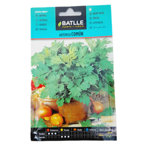 GRAINES BATLLE ARTEMISA COMUN-ARTEMISA VULGARIS