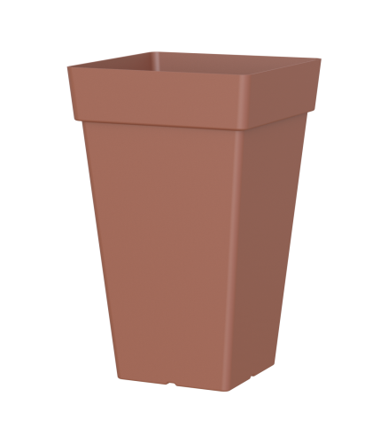 Variant 12