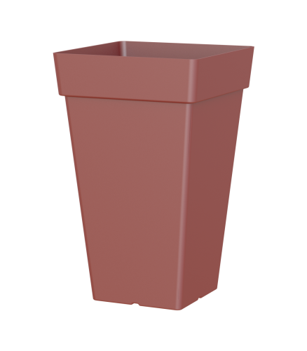 Variant 10