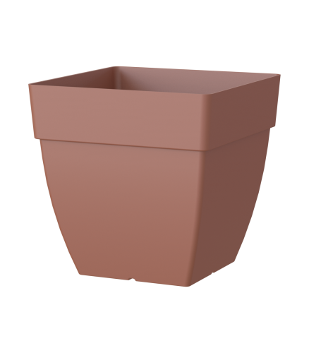 Variant 5