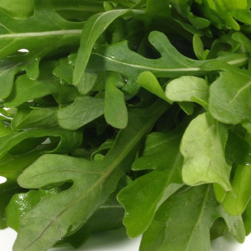 ROQUETTE