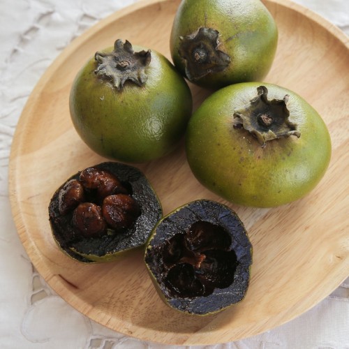 DIOSPYROS DIGYNA (SAPOTIER NOIR)