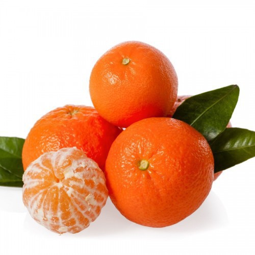 CITRUS RETICULATA (CLEMENTINIER)