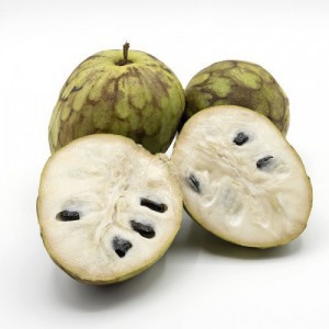 ANNONIER GREFFE (ANNONA CHERIMOLA) CHERIMOLIER