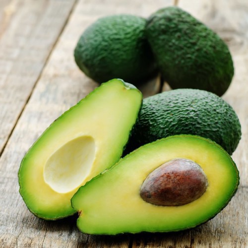 PERSEA AMERICANA (AVOCATIER)